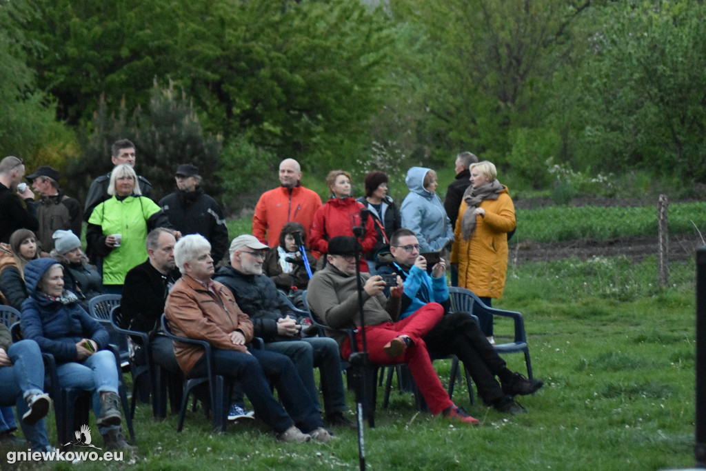 Koncert zespołu Wolna Grupa Bukowina