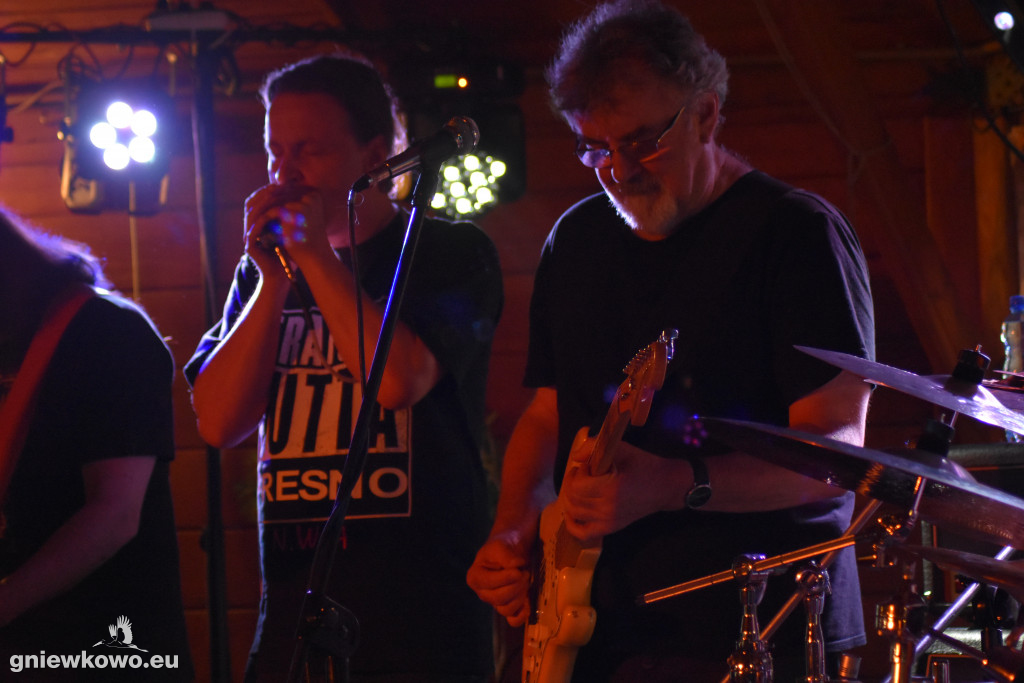 Koncert zespołu Czarny Pies