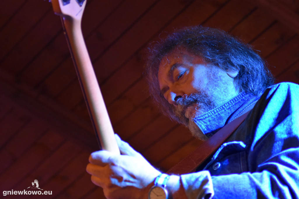 Koncert zespołu Czarny Pies