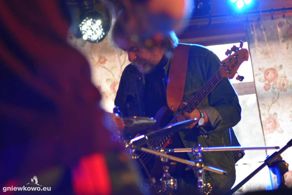Koncert zespołu Czarny Pies