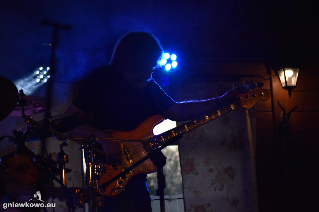 Koncert zespołu Czarny Pies
