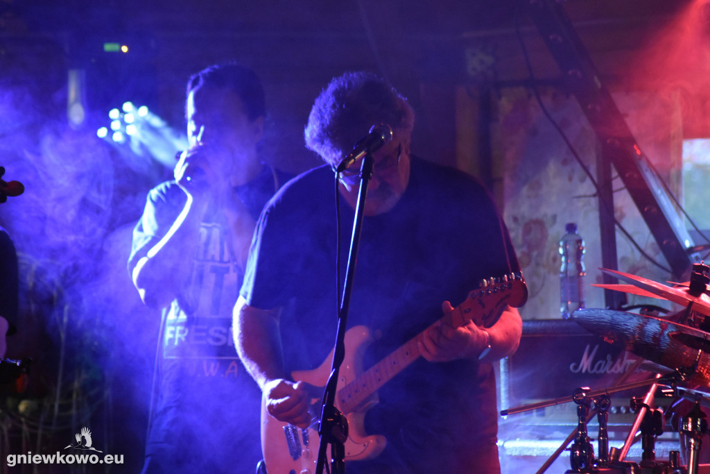 Koncert zespołu Czarny Pies