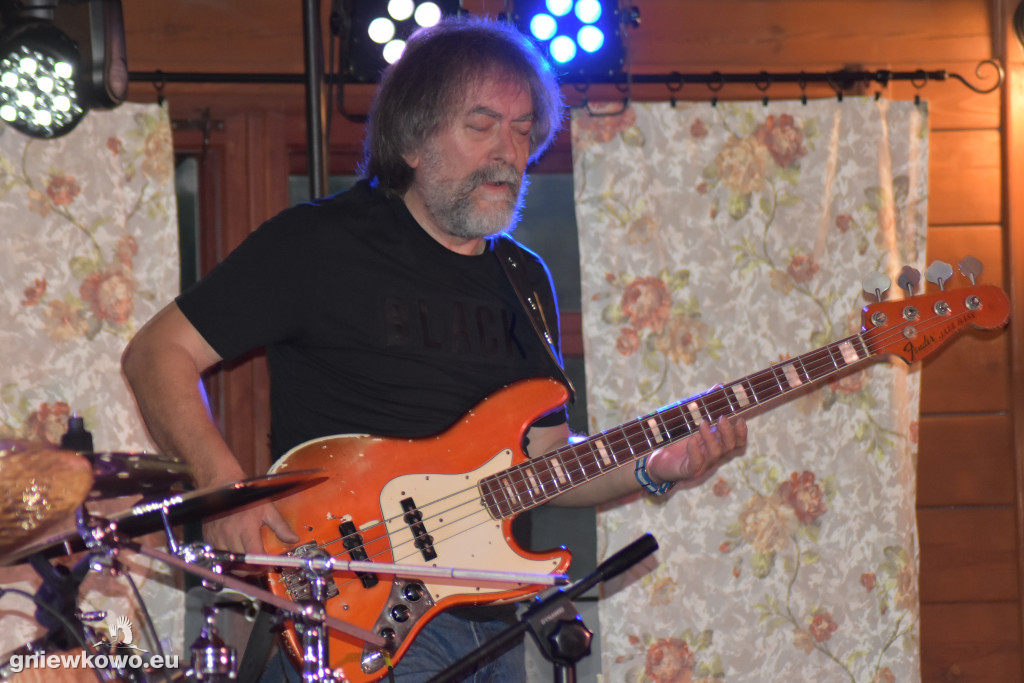 Koncert zespołu Czarny Pies