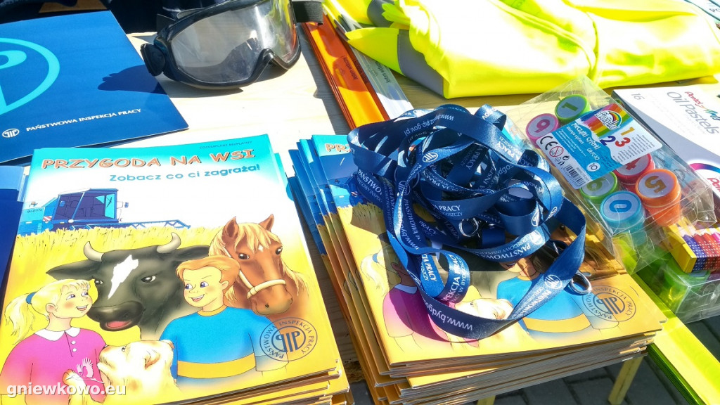 Piknik w SP w Wierzchosławicach