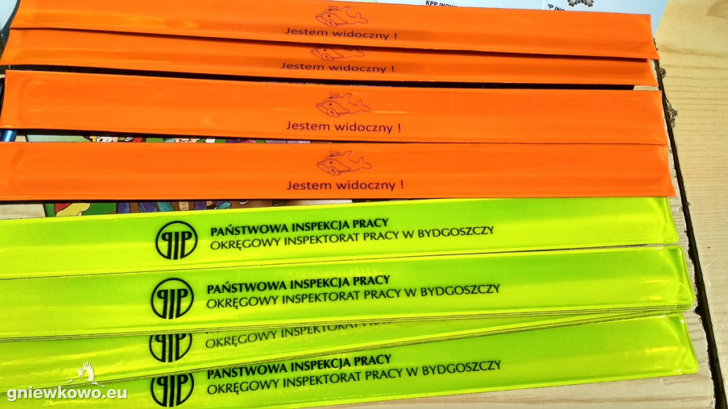 Piknik w SP w Wierzchosławicach