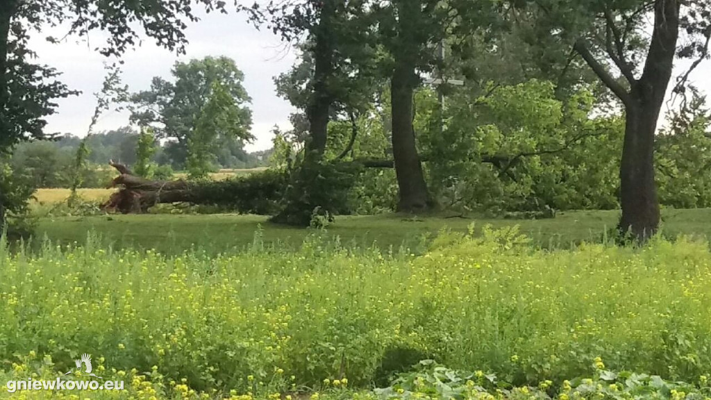 Gwałtowna burza 26.6.19