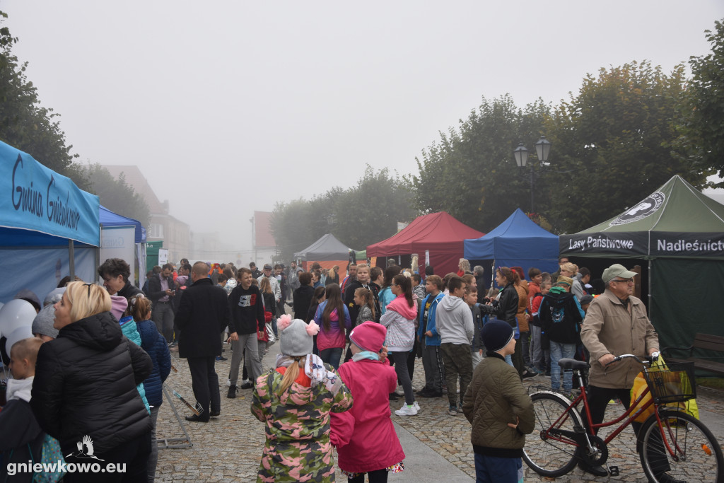 Piknik Ekologiczny na gniewkowskim Rynku