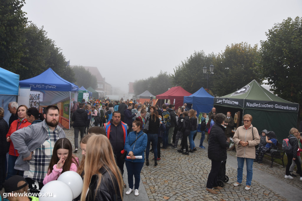 Piknik Ekologiczny na gniewkowskim Rynku