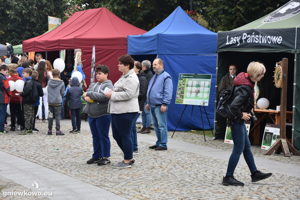 Piknik Ekologiczny na gniewkowskim Rynku