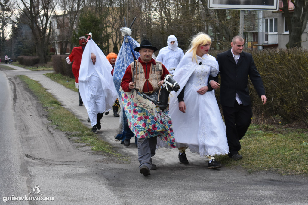 Koza przeszła przez Lipie
