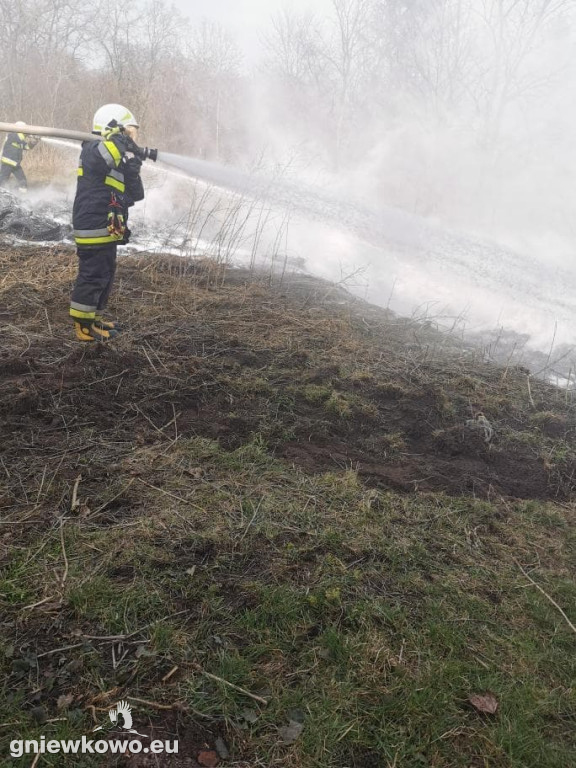 Pożar opon w Zagajewicach