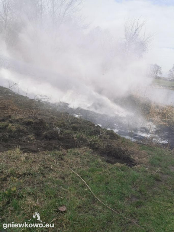Pożar opon w Zagajewicach