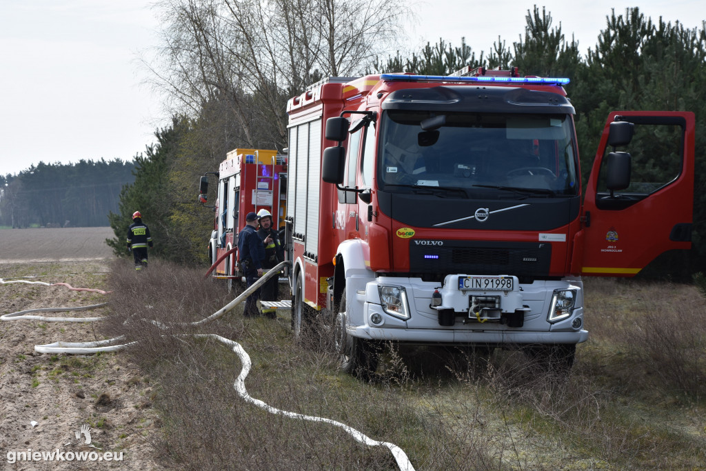 Pożar poszycia leśnego w okolicach Godzięby