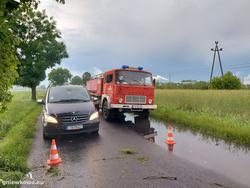 Wypadek na trasie Rojewo - Rojewice
