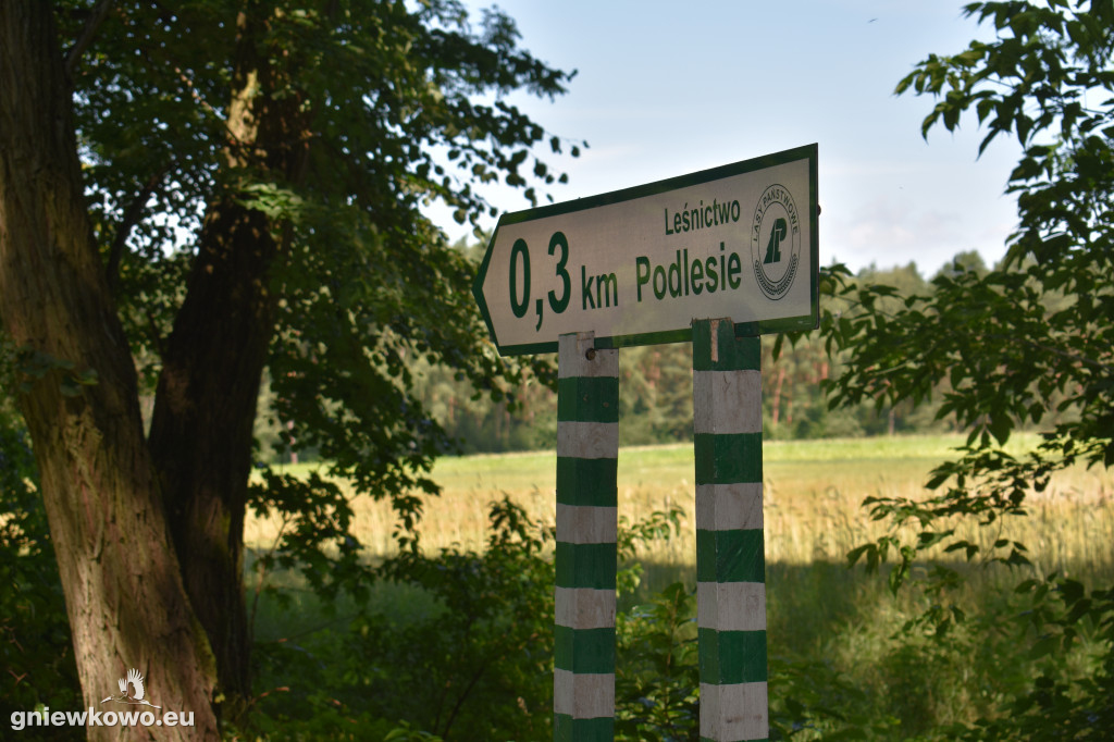 Sprzątanie lasu z BZIK-iem i przyjaciółmi