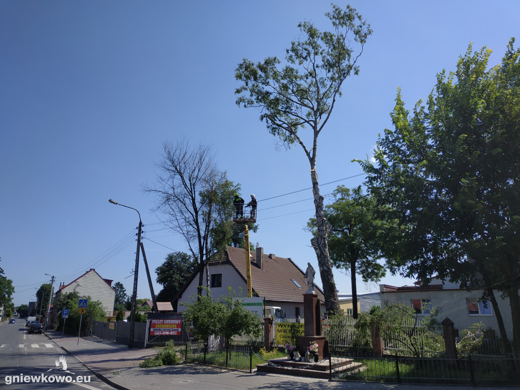 Wycinka drzew przy ulicy Toruńskiej