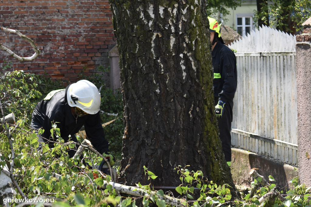 Wycinka drzew przy ulicy Toruńskiej