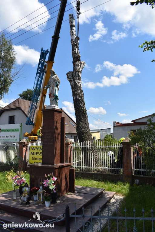 Wycinka drzew przy ulicy Toruńskiej