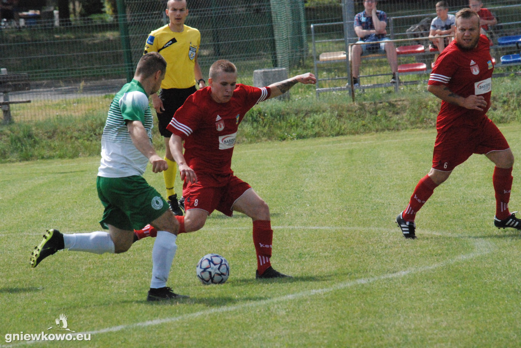Dąb Bąkowo/Dąbrowa Biskupia - Mikrus 26.6.21
