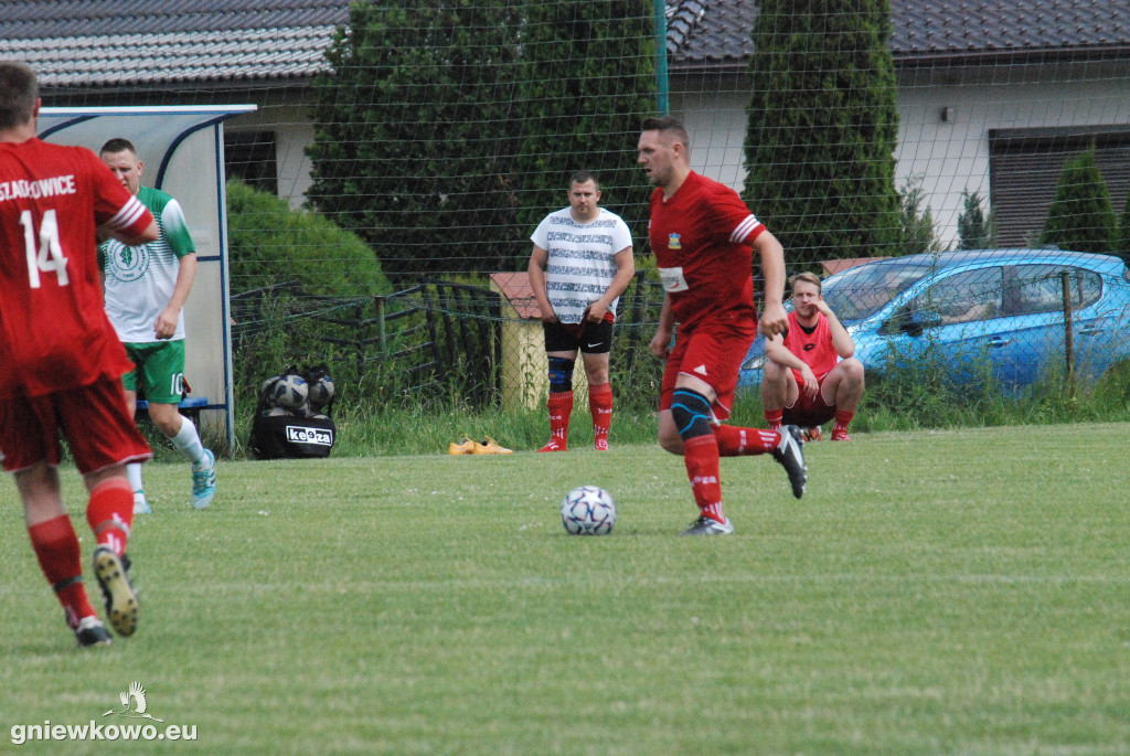 Dąb Bąkowo/Dąbrowa Biskupia - Mikrus 26.6.21