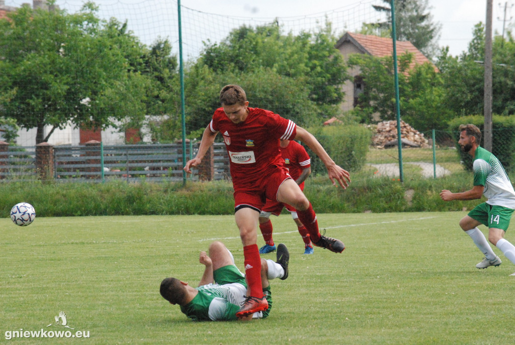 Dąb Bąkowo/Dąbrowa Biskupia - Mikrus 26.6.21