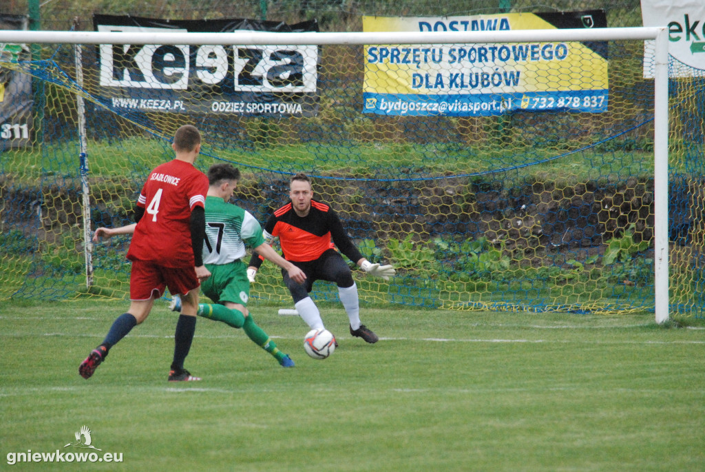 Mikrus - Dąb Bąkowo/Dąbrowa Biskupia 25.921