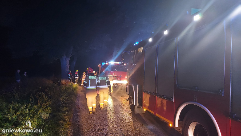 Pożar drzewa między Lipiem a Kijewem