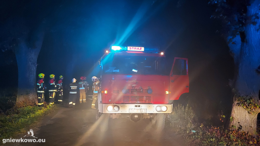 Pożar drzewa między Lipiem a Kijewem