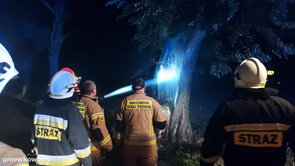 Pożar drzewa między Lipiem a Kijewem