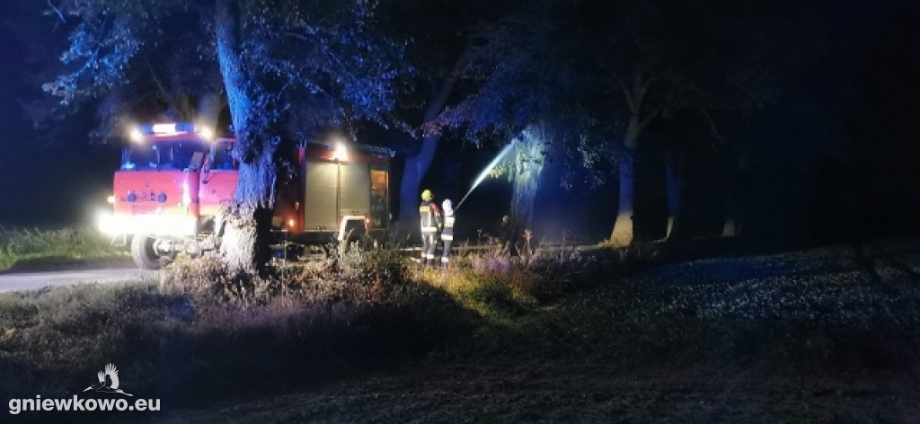 Pożar drzewa między Lipiem a Kijewem