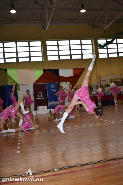 XXVII Bieg im. Rodziny Milewskich w Gniewkowie