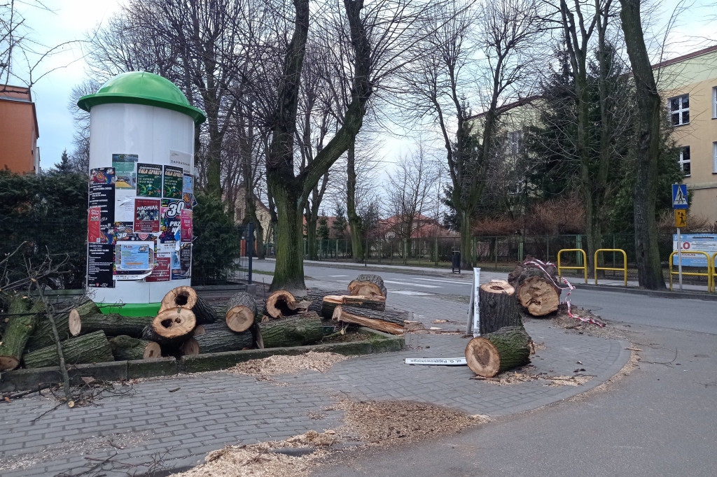 Skutki wichury z 18 i 19 lutego