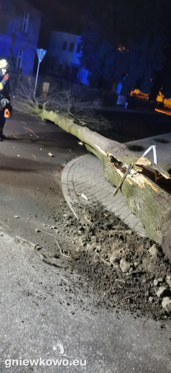 Skutki wichury z 18 i 19 lutego