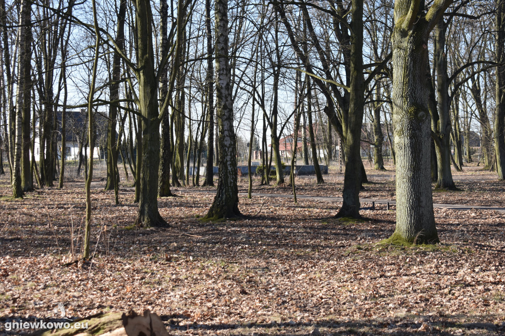 Park Wolności w marcu 2022