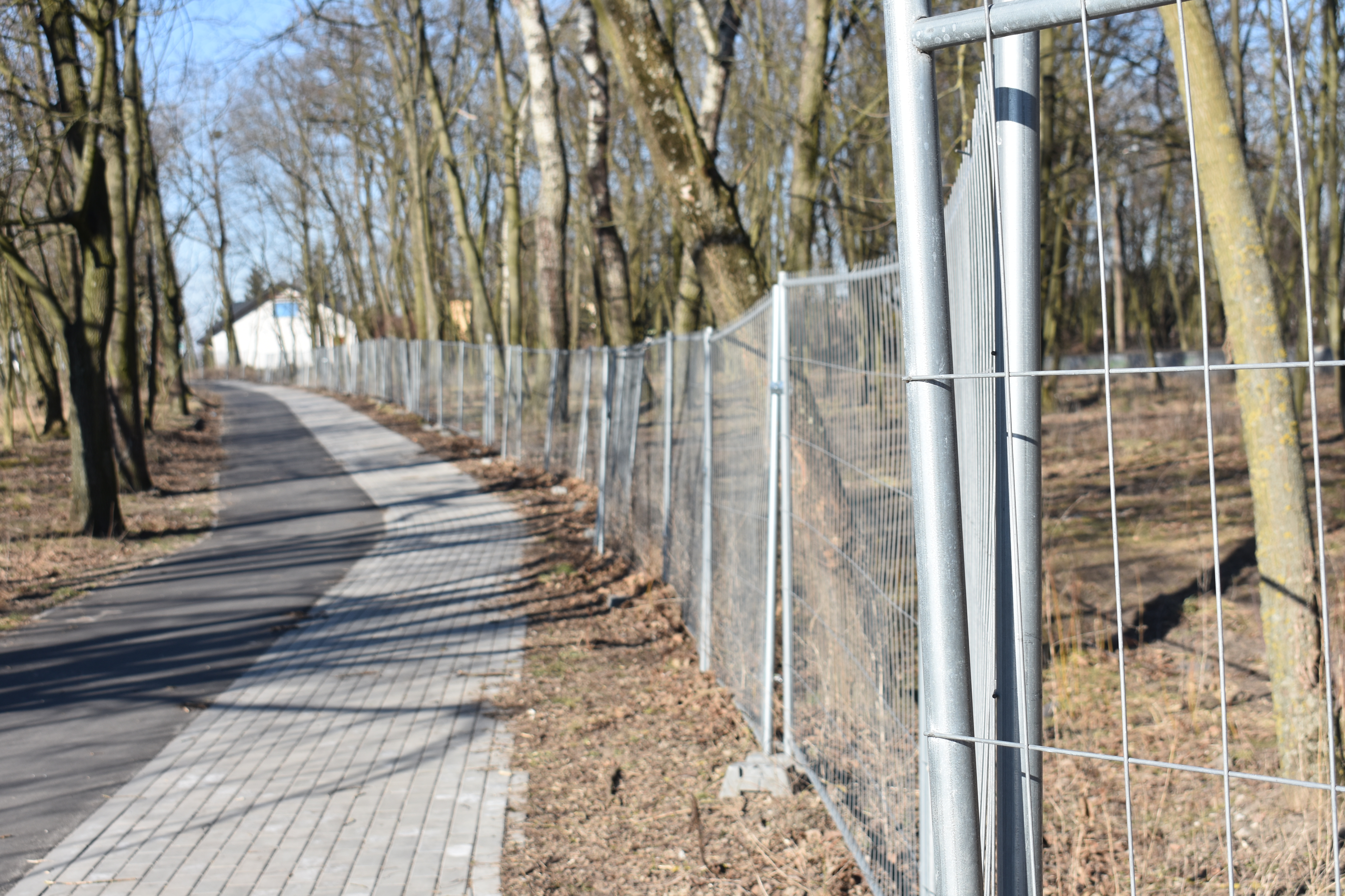 Park Wolności w marcu 2022