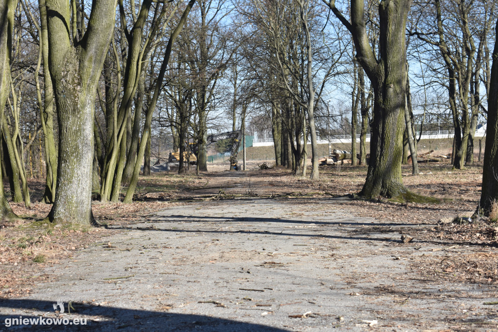 Park Wolności w marcu 2022