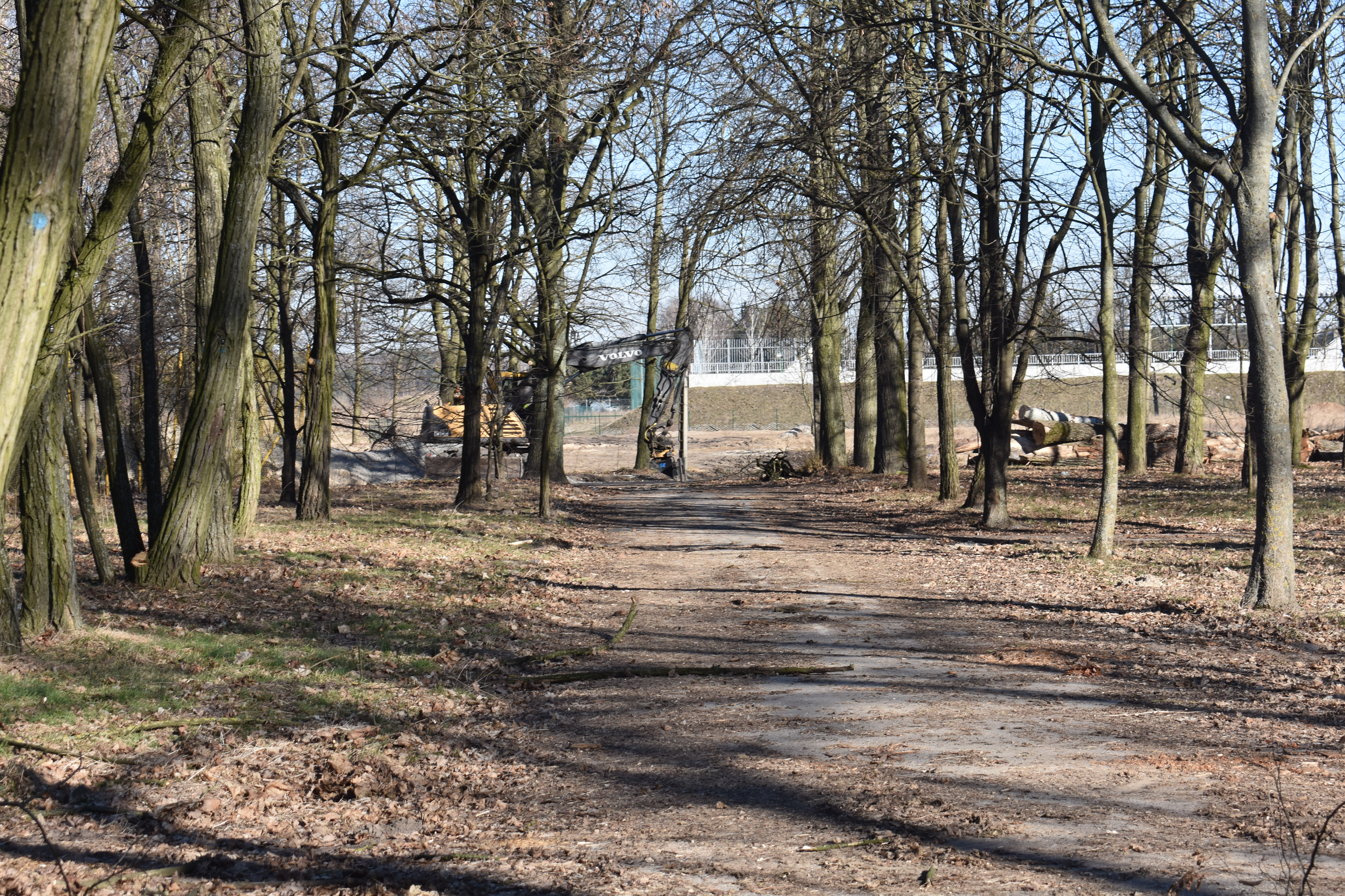 Park Wolności w marcu 2022