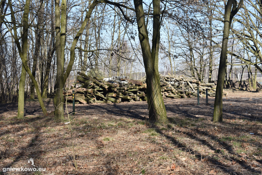 Park Wolności w marcu 2022