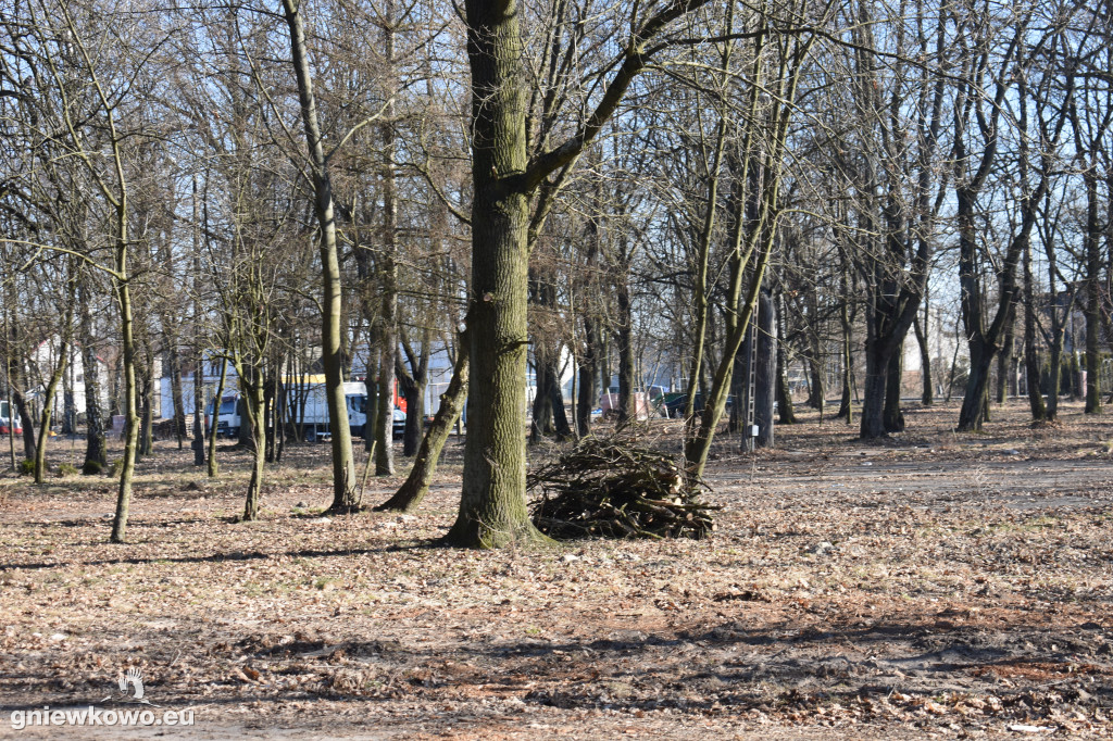 Park Wolności w marcu 2022