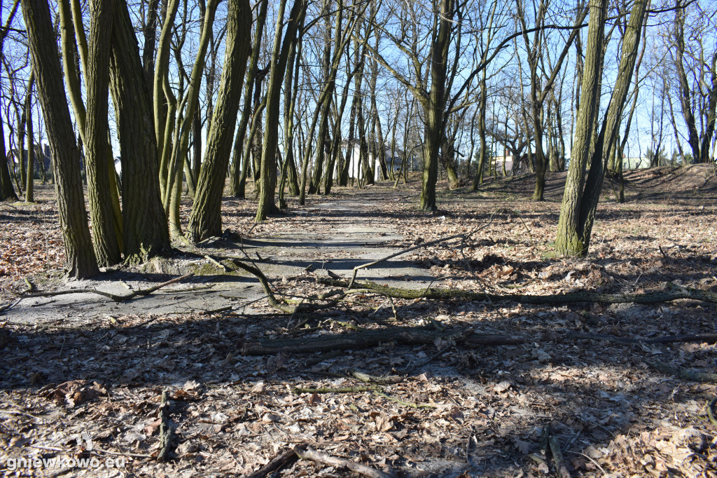 Park Wolności w marcu 2022