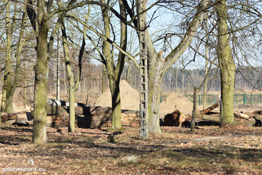 Park Wolności w marcu 2022