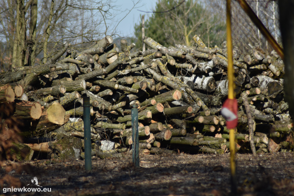 Park Wolności w marcu 2022