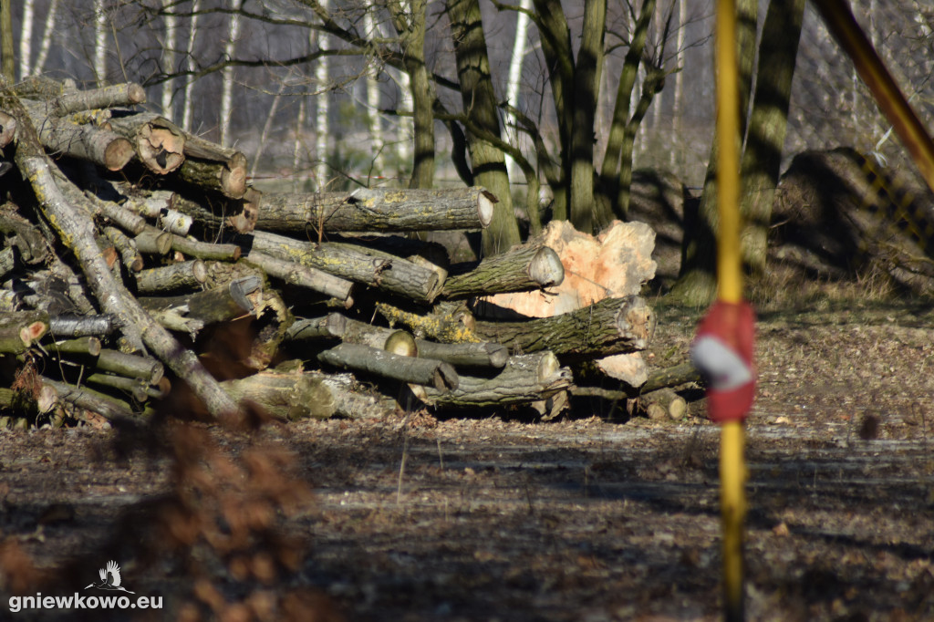 Park Wolności w marcu 2022