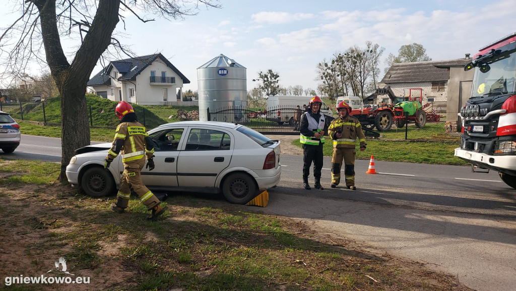 Auto na drzewie w Murzynnie