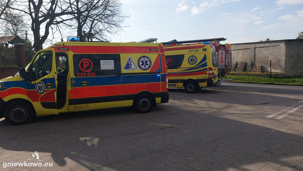 Auto na drzewie w Murzynnie