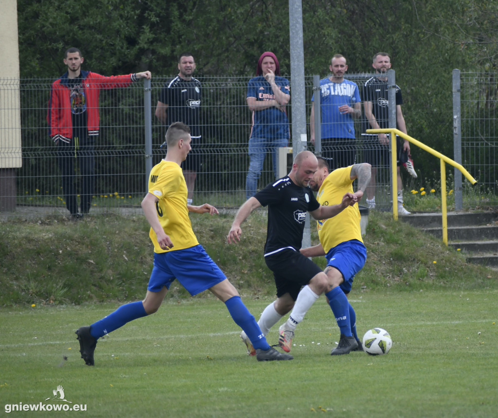 Dąb Bąkowo - Mikrus 7.5.22