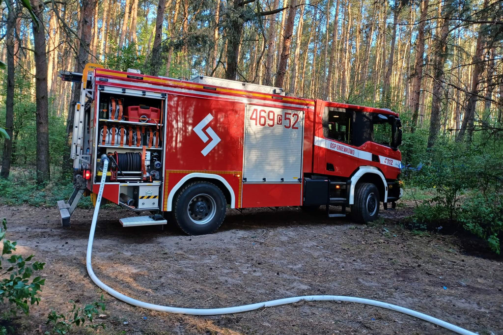 Pożar lasu w Jaszczółtowie