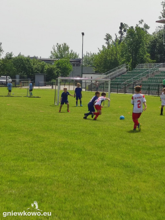Turniej żaków w Gniewkowie