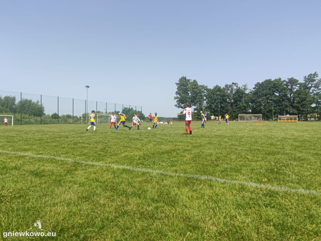 Turniej żaków w Gniewkowie