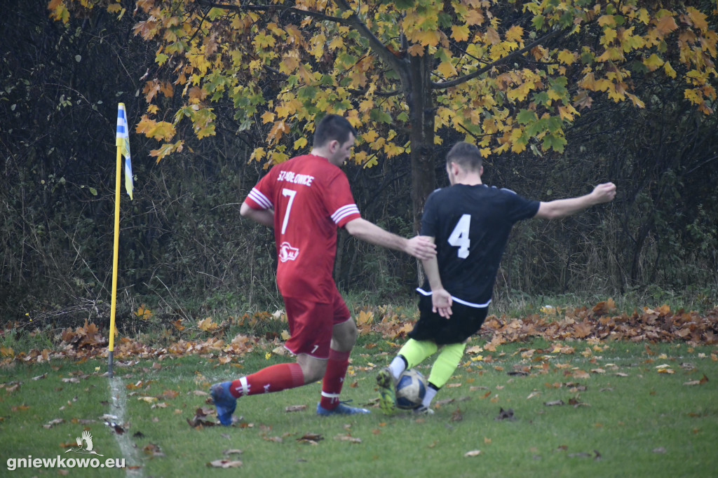 Mikrus - Dąb Bąkowo/Dąbrowa Biskupia 22.10.22